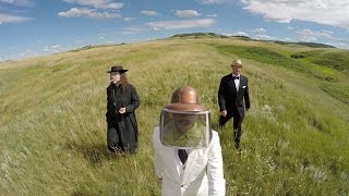 Punch Drunk Cabaret~ Beard Of Bees~ Official Video