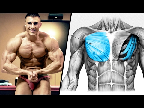 Krwiak w mięśnie brzucha Trening obwód dla wszystkich grup mięśni w domu