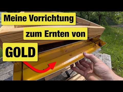 Flüssiges und festes Gold | Bienen halten für die Selbstversorgung