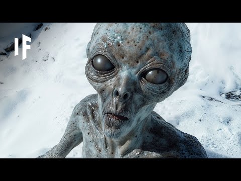 What If We Discovered Alien Life in 2024?