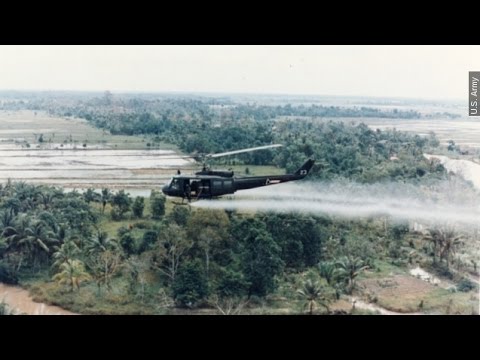 What Agent Orange Does To The Body