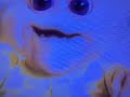 Opening To Baby Secret Of The Lost Legend 1993 Vhs