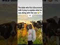 That would have been a strange conversation ahah #funmy #meme #tiktok #share #fyp