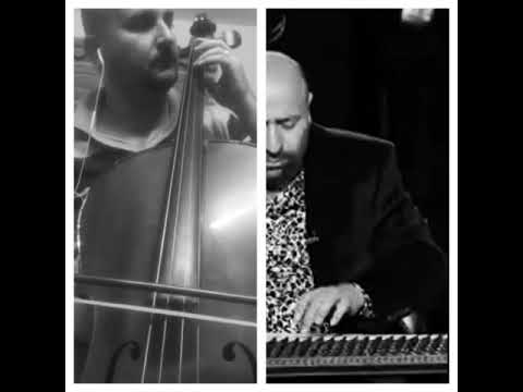 Azhe cello gryani gul