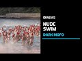 Hundreds Strip Off For Adrenaline Inducing Nude Swim At Dark Mofo ABC News