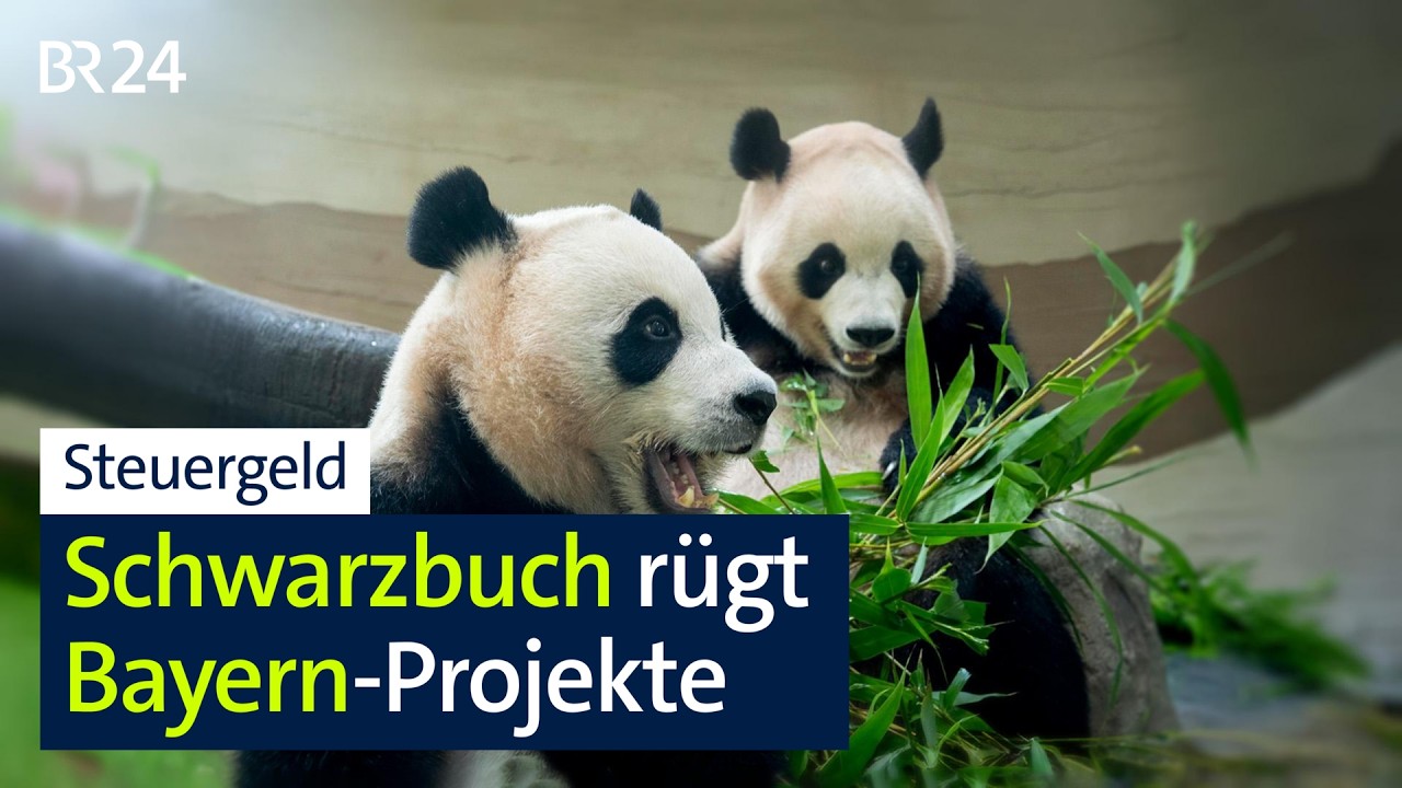 Steuergeld: Schwarzbuch rügt Bayern-Projekte | BR24