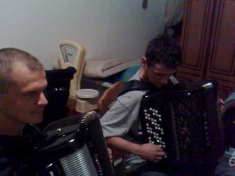 ludi snovi Ljig proba tempa vlada i darko