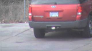 DoDoDo...Looking Out My Backdoor