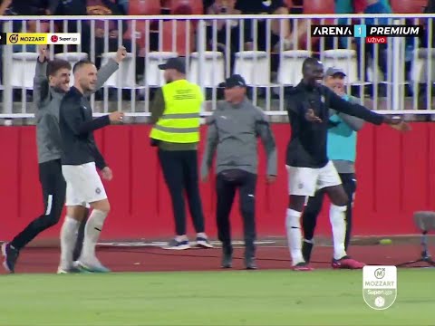 FK Radnik Surdulica 0-2 FK Partizan Belgrad :: Resumos :: Vídeos