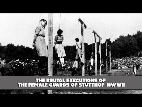 The Brutal Executions of the Female Guards of Stutthof 😱 #history #ww2