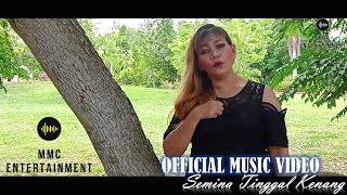 Download lagu Fenny Lynn - Semina Tinggal Kenang (with Lyrics) mp3