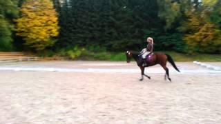 Video di Webster