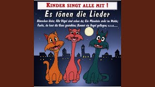 Trarira, der Sommer der ist da