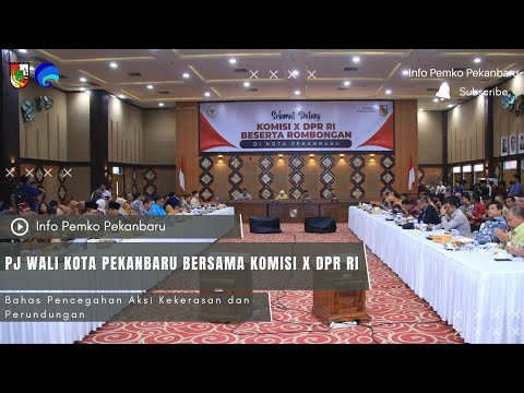 Pj Wali Kota Pekanbaru Bersama Komisi X DPR RI Bahas Pencegahan Aksi Kekerasan dan Perundungan