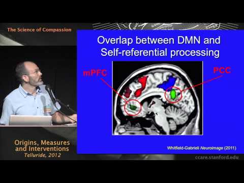 The Science of Compassion: Origins, Measures, and Interventions - Judson Brewer, M.D., Ph.D.