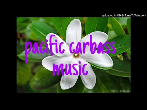 Crazyplayboy DaBass - AMERICA MIX