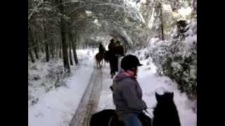 preview picture of video 'Vidéo0009.mp4 sous la neige à cheval dans la montagnette'