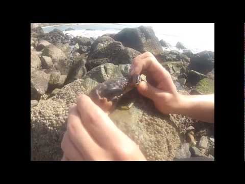 Parkour Praia - Bacia Da Vovó