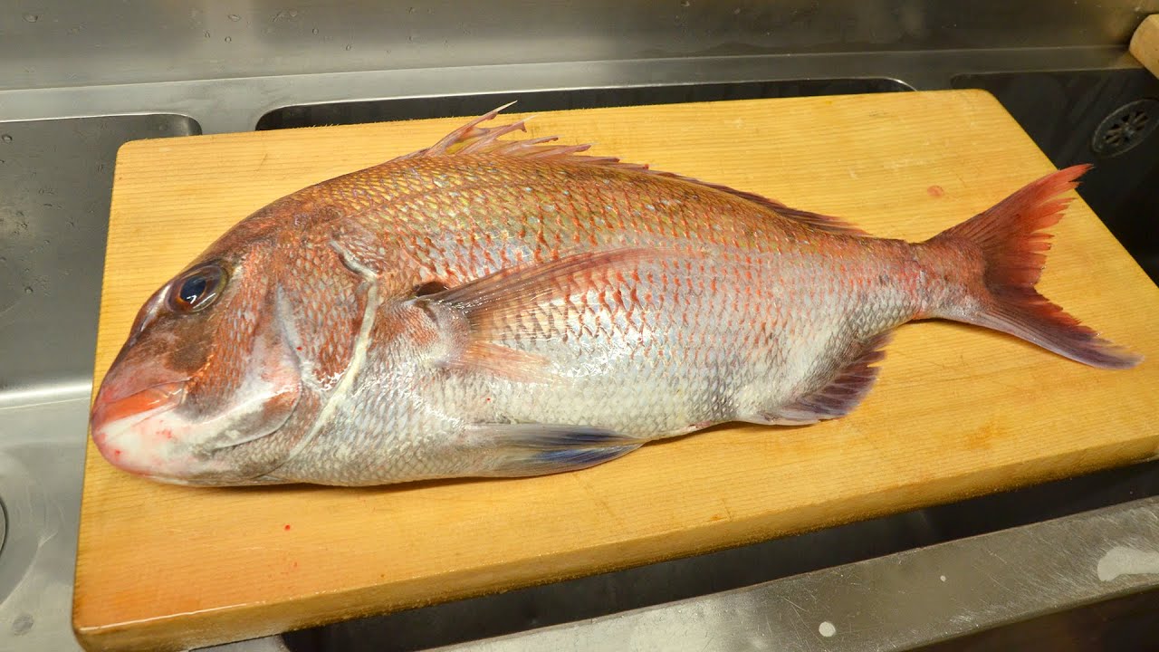 寿司職人による真鯛の仕込みから握りまで〜How To Make Red sea bream Sushi〜