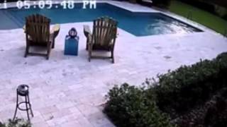 Girl dives into the swimming pool to save her Hoverboard - ORIGINAL WITH SOUND