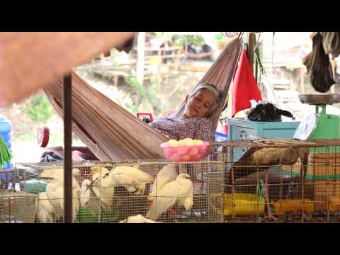 Вьетнам. 13 выпуск (1080p HD) | Мир Наизнанку