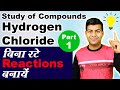 Study Of Compounds Hydrogen Chloride Complete Lesson Reactions Class 10th Chemistry