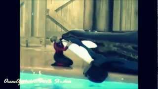 :Orcas & Trainers - Tell Me We Belong Together: