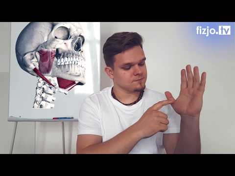 Mikroprądowej terapia mięśni Huśtawka mięsień przywodziciel długi