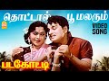 Thottal Poo Malarum HD Video Song தொட்டால் பூ மலரும் Padagotti MGR S
