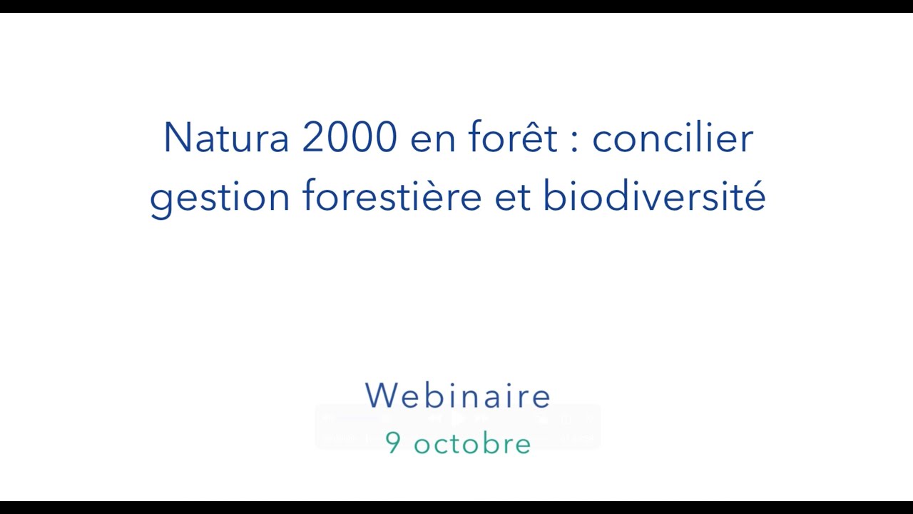 Natura 2000 en forêt : concilier gestion forestière et biodiversité (replay webinaire)