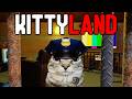 The Roblox HORROR Game Where You Re A CAT