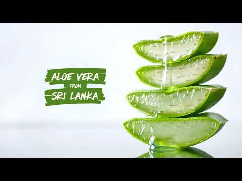 Sunsilk Natural Recharge Coconut Water & Aloe Vera Volume & Bounce Shampoo