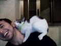 I Think This Cat Loves Me