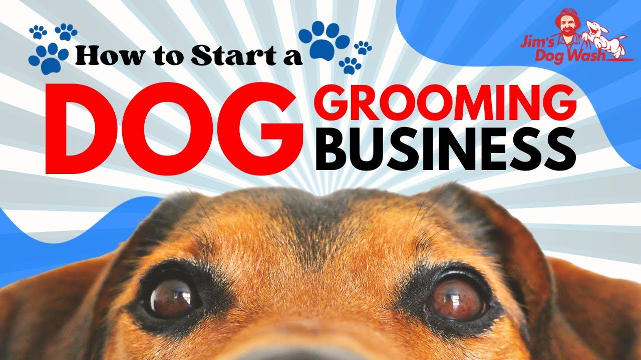I opened my own Jim's Dog Wash Salon! Interview with Jade Scavo
