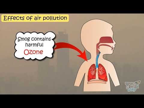 Air Pollution: Its Effects, Causes & Prevention