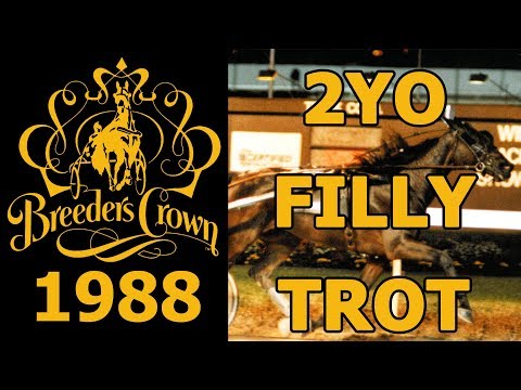 1988 Breeders Crown - Peace Corps - 2FT