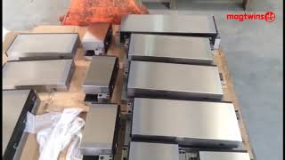Permanent magnetic chuck-MAGTWINS