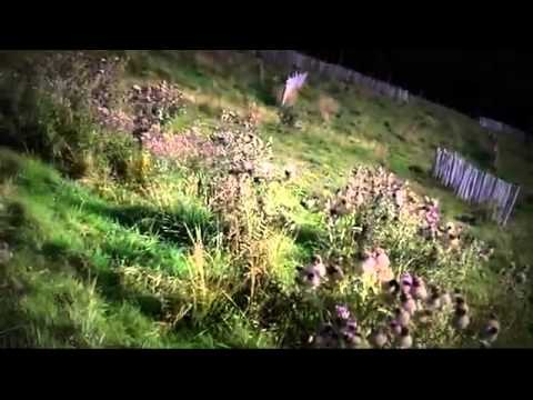 Pensiune Predeal - Cazat.ro