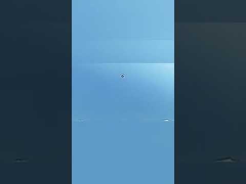 Libre y salvaje Matsuyama Misugi Misaki  Sawada Sorimachi y  Tsubasa