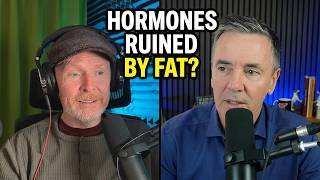 Your Fat Intake is Ruining Your Hormones (here's why)
