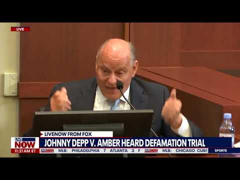 Johnny Depp expert BLASTS Amber Heard witness for Jason Momoa career comparison