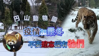 【疫情加嚴冬】不要遺忘還有牠們~疫情下訪客減少,依舊帶給人們歡樂的好地方