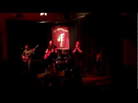 The Survival Instinct - Dizzy (Live 1/11/13)