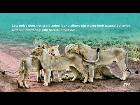 SkyWay: в гармонии с дикой природой