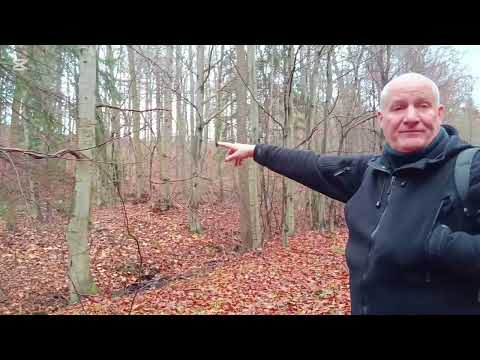 Riese - Tajemnica, której nikt nie powinien odkryć. Dariusz Kwiecień ujawnia fakty - 11-2025