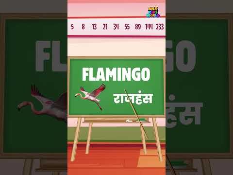 Learn Bird Names with Hindi Pronunciation & Spelling | पक्षियों के नाम | Part 4