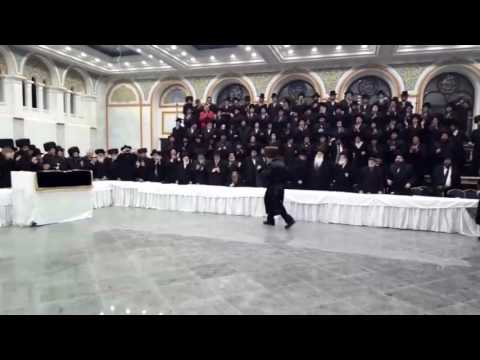 Sadigura Rebbe Dances With Torah @ Ruzhiner Kloiz