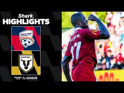 bg-highlight