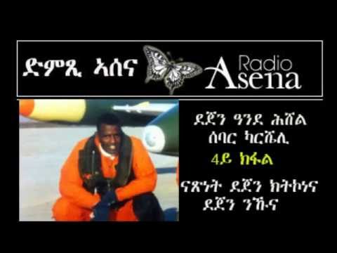 Voice of Assenna: Interview, Pilot-Prisoner Dejen, Saturday, May 24, 2014