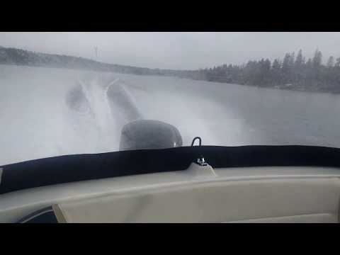 Bella 530 Excel with Mercury 115hp fourstroke